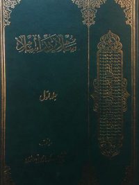 تاریخ الوزارات العراقیة, فی العهد الجمهوری 1958_1968, 2 جلد, (SZ1732)