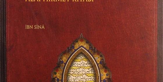 DANISNAME-I ALAI, ALAI HIKMET KITABI, IBN SINA, چاپ ترکیه, متن فارسی همراه با ترجمۀ ترکی است), (HZ2535)